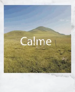 polaroide-calme_Page_1